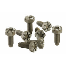 Load image into Gallery viewer, Ford Racing Hardware Kits - Other Ford Racing 4.6L Manual Flywheel Bolts
