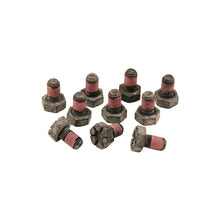 Load image into Gallery viewer, Ford Racing Hardware Kits - Other Ford Racing 8.8inch Ring Gear Bolt Set

