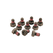 Load image into Gallery viewer, Ford Racing Hardware Kits - Other Ford Racing 8.8inch Ring Gear Bolt Set
