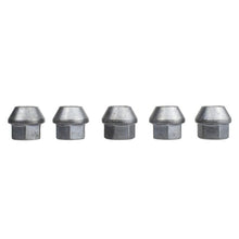 Load image into Gallery viewer, Ford Racing Lug Nuts Ford Racing 2015-2017 Mustang Open Back Lug Nut Kit
