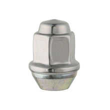 Load image into Gallery viewer, Ford Racing Lug Nuts Ford Racing Lug Nuts
