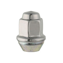Load image into Gallery viewer, Ford Racing Lug Nuts Ford Racing Lug Nuts
