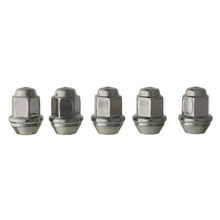 Load image into Gallery viewer, Ford Racing Lug Nuts Ford Racing Lug Nuts
