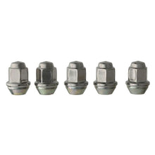 Load image into Gallery viewer, Ford Racing Lug Nuts Ford Racing Lug Nuts
