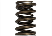 Load image into Gallery viewer, Ford Racing FRPM-6513-17341 Ford Racing  Replacement Hydraulic Roller Valve Spring - Single (For M-6049-SCJA)
