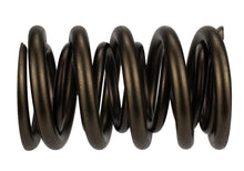 Load image into Gallery viewer, Ford Racing FRPM-6513-17341 Ford Racing  Replacement Hydraulic Roller Valve Spring - Single (For M-6049-SCJA)
