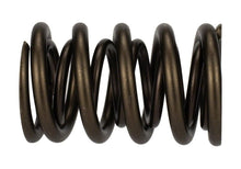 Load image into Gallery viewer, Ford Racing FRPM-6513-17341 Ford Racing  Replacement Hydraulic Roller Valve Spring - Single (For M-6049-SCJA)
