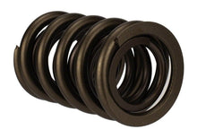 Load image into Gallery viewer, Ford Racing FRPM-6513-17341 Ford Racing  Replacement Hydraulic Roller Valve Spring - Single (For M-6049-SCJA)
