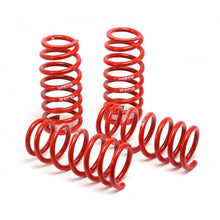 Load image into Gallery viewer, H&amp;R 94-99 Dodge Neon Race Spring
