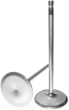 Load image into Gallery viewer, Photo - Primary
