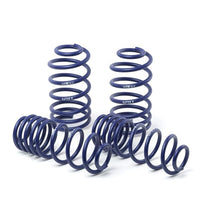 Load image into Gallery viewer, H&amp;R Lowering Springs H&amp;R 96-03 BMW 525i/528i/530i E39 Sport Spring (Non Touring)
