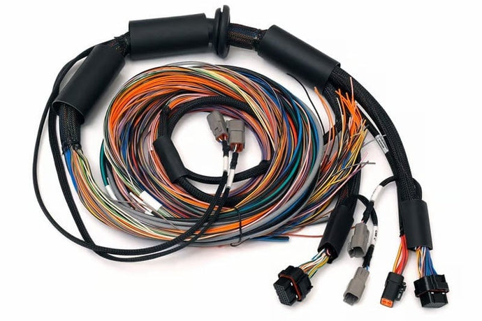 Haltech HALHT-183200 Haltech NEXUS R3 Universal Wire-In Harness - 2.5M (8ft)