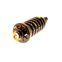 Load image into Gallery viewer, KYB Shocks and Struts KYB Shocks &amp; Struts Strut Plus Rear 06-10 Ford Explorer
