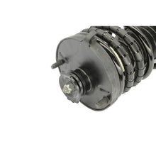 Load image into Gallery viewer, KYB Shocks and Struts KYB Shocks &amp; Struts Strut Plus Rear Left FORD Escort 1991-96 MAZDA 323 1990-94 MAZDA Protege 1990-94
