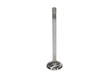 Load image into Gallery viewer, Manley Performance Valves Manley Ford GT350 Voodoo 5.2L Race Master Series Exhaust Valve Set - 1.280in Dia

