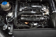 Load image into Gallery viewer, ms100124_010.jpg
