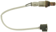 Load image into Gallery viewer, NGK NGK24168 NGK Nissan Micra 2016-2015 Direct Fit Oxygen Sensor
