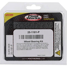 Load image into Gallery viewer, Pivot Works Misc Powersports Pivot Works Pw Premium Wheel Bearing
