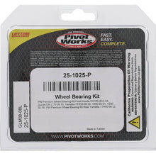 Load image into Gallery viewer, Pivot Works Misc Powersports Pivot Works Pw Premium Wheel Bearing
