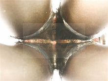 Load image into Gallery viewer, PrivateLabelMfg PLM-B-T3-TOP PLM Power Driven T3 Top Mount Turbo Manifold - B-Series B16 B18 B20
