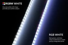 Load image into Gallery viewer, Diode Dynamics RGBW Engine Bay Strip Kit 2pc Multicolor Light Strip LED Diode Dynamics   
