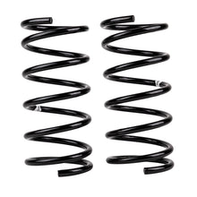 Load image into Gallery viewer, ARB / OME Coil Spring Rear Terracan &amp; Hd Coilover Springs Old Man Emu
