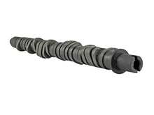 Load image into Gallery viewer, Skunk2 Tuner Series D-Series Honda Stage 4 Camshaft Camshafts Skunk2 Racing
