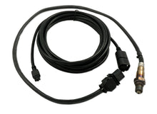 Load image into Gallery viewer, Innovate LSU4.9 Upgrade Kit - 18ft Sensor Cable and O2 Sensor Oxygen Sensors Innovate Motorsports
