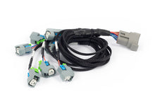 Load image into Gallery viewer, Haltech NEXUS Rebel LS EV6 Injector Sub-Harness (Plug-n-Play w/HT-186500) Wiring Harnesses Haltech   
