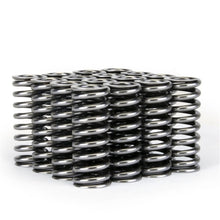 Load image into Gallery viewer, Skunk2 Alpha Series Honda D Series VTEC Valve Spring Set Valve Springs, Retainers Skunk2 Racing
