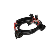Load image into Gallery viewer, FAST Injector Harness Ev1 289302 Fuel Components Misc FAST
