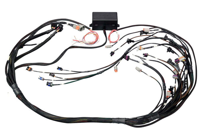 Haltech GM GEN IV LSX (LS2/LS3 Non DBW) Elite 2000/2500 Terminated Harness w/EV1 Inj Connectors Wiring Harnesses Haltech