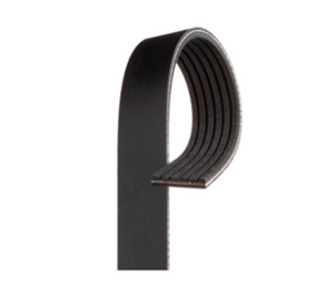 Gates K07 82.59in x .947in Racing Performance Micro-V Belt Belts - Timing, Accessory Gates   