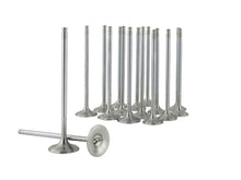 Load image into Gallery viewer, Skunk2 Alpha Series Honda/Acura Stock Size D Series Valve Set (Standard Compression) Valves Skunk2 Racing
