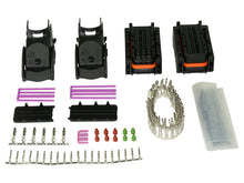 Load image into Gallery viewer, AEM EV Plug &amp; Pin Kit for VCU300 Programmer Accessories AEM   
