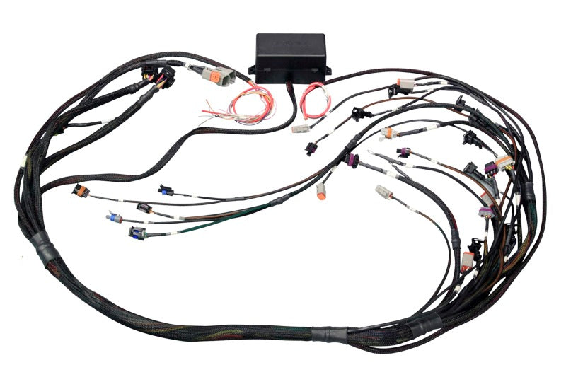 Haltech GM GEN III LS1 & LS6 (Non DBW) Elite 2000/2500 Terminated Harness w/EV1 Injector Connectors Wiring Harnesses Haltech
