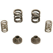 Load image into Gallery viewer, BD Diesel Governor Spring Kit 3000rpm - 1994-1998 Dodge 12-valve/P7100 Pump Injection Pump Components BD Diesel
