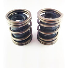 Load image into Gallery viewer, DDP Dodge 94-98 P-7100 Competition Governor Springs (5500 RPM) Injection Pump Components DDP
