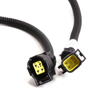 Load image into Gallery viewer, BBK 05-20 Dodge 6.1L/6.2L/6.4L Rear O2 Sensor Extensions 4 Pin Square Style 24in (pair) Gauge Components BBK
