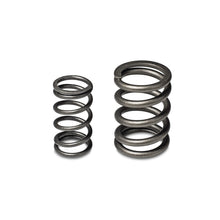 Load image into Gallery viewer, Skunk2 Tuner Series Honda/Acura (B16A/ B17A/ B18C) DOHC VTEC Alpha Valve Spring Set (Dual Springs) Valve Springs, Retainers Skunk2 Racing
