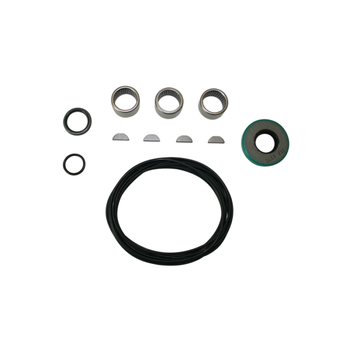 Moroso Small Parts Kit for Dry Sump Oil Pump (For 22500 / 22510 / 22650 / 22570 / 22572 / 22580) Oil Pumps Moroso   