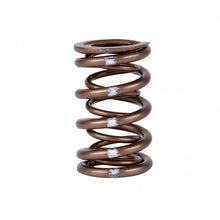 Load image into Gallery viewer, Skunk2 Pro Series Honda/Acura B-Series VTEC XP Valve Spring Set (Dual Springs) Valve Springs, Retainers Skunk2 Racing
