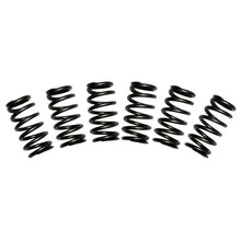 Load image into Gallery viewer, BD Diesel Valve Spring Kit 60lb Cummins 5.9 12-valve Valve Bodies BD Diesel
