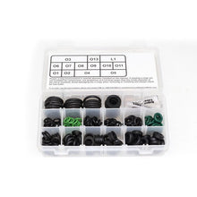 Load image into Gallery viewer, Deatschwerks Sport Compact / Euro Injector O-Ring Kit (230 Pieces) Fuel Components Misc DeatschWerks

