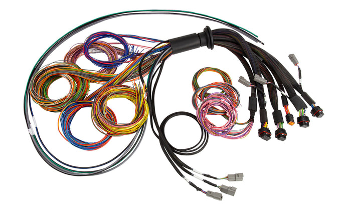 Haltech NEXUS R5 Universal Wire-In Harness - 2.5M (8ft) Wiring Harnesses Haltech