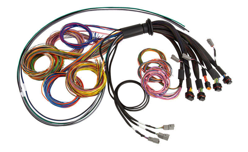 Haltech NEXUS R5 Universal Wire-In Harness - 2.5M (8ft) Wiring Harnesses Haltech