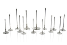Load image into Gallery viewer, Ferrea Audi/VW BTW 28mm 5.97mm 102mm 24 Deg Flo Stk Trpl Groove Super Alloy Exh Valve - Set of 10 Valves Ferrea   
