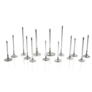Ferrea VW VR6 R32 24V 33.20mm 5.98mm 136.70mm 20 Deg S-Flo Stock Comp Plus Intake Valve - Set of 12 | F2292P