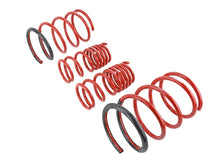 Load image into Gallery viewer, Skunk2 02-05 Honda Civic Si Hatchback Lowering Springs (2.25in - 2.00in.) (Set of 4) Lowering Springs Skunk2 Racing

