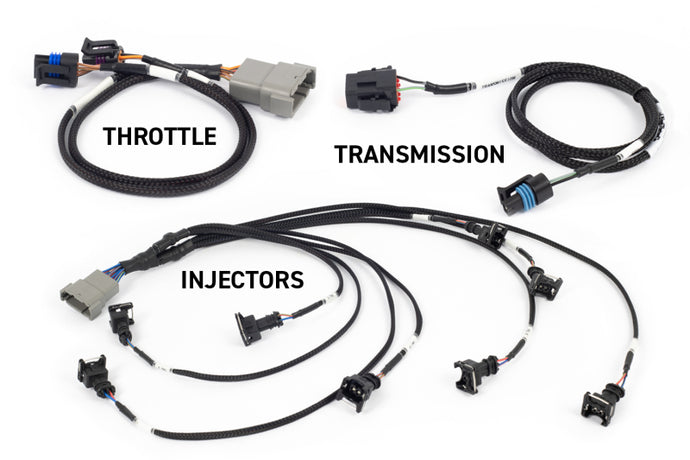 Haltech NEXUS Rebel LS Kit (Suits Gen III) Cable Throttle/EV1 Injectors/Manual Transmission Programmers & Tuners Haltech   